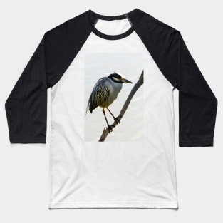 Yellow-crowned Night Heron Resting On A Branch Baseball T-Shirt